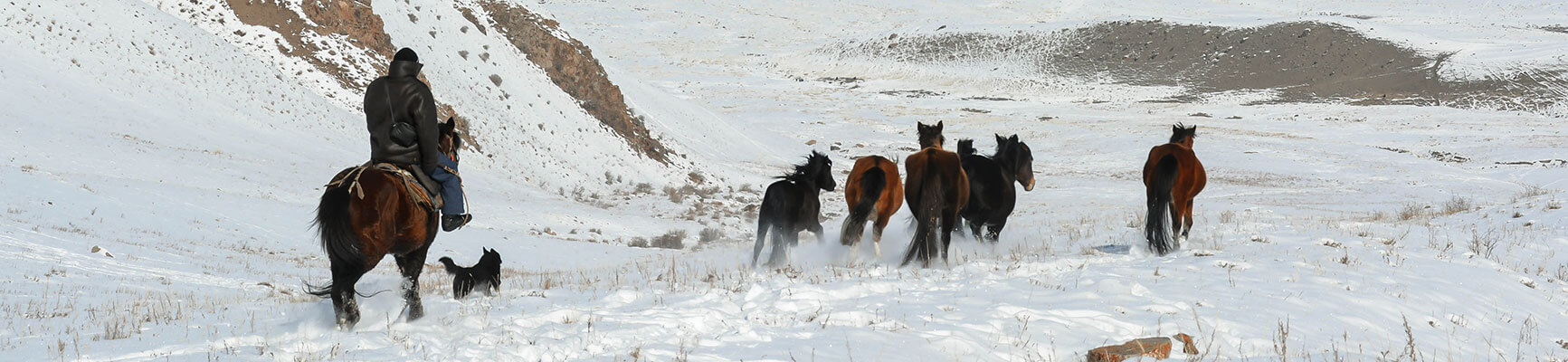Randonnée au Kirghizistan, voyage Kirghizistan, séjour Kirghizistan, randonnée à pied kirghizistan, trek kirghizistan, trek Kirghizie, randonnée kirghizistan, agence de trek kirghizistan, trek kirghizistan, vtt kirghizistan, trekking kirghizistan, ski kirghizistan, monts célestes kirghizistan, trek kirghizie, séjour kirghizistan, velo kirghizistan, ski de randonnée kirghizistan, trek au kirghizistan, trekking kirghizie, rando à cheval kirghizistan, trek à cheval kirghizistan, randonnée kirghizistan, kirghizistan à vélo, vtt ouzbékistan, voyage ouzbékistan, randonnée tadjikistan, kirghizistan trek, randonnée asie centrale, les monts célestes, voyage au kirghizistan, voyage kirghizie, voyage kirghizistan, kirghizistan voyage